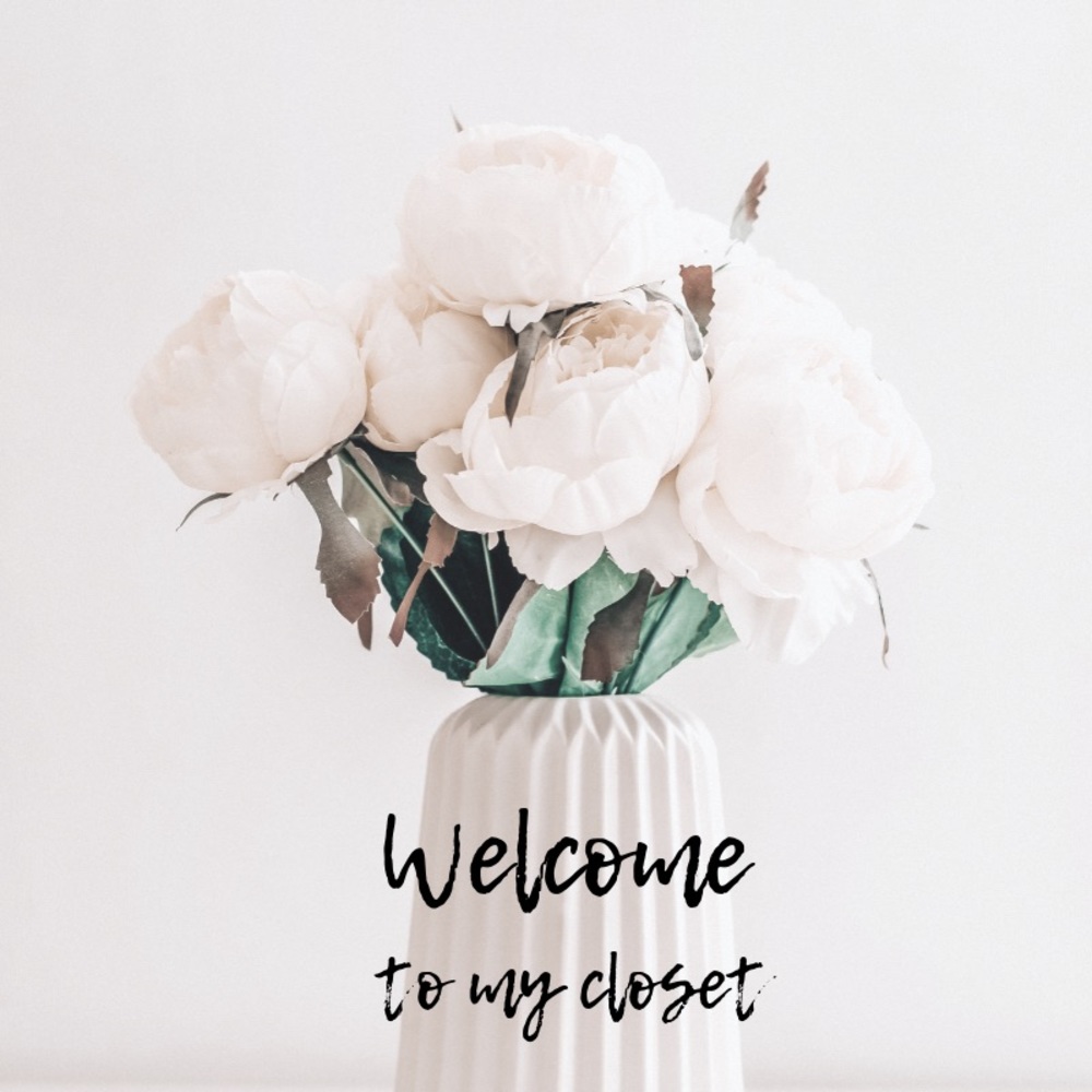 Welcome to my closet!